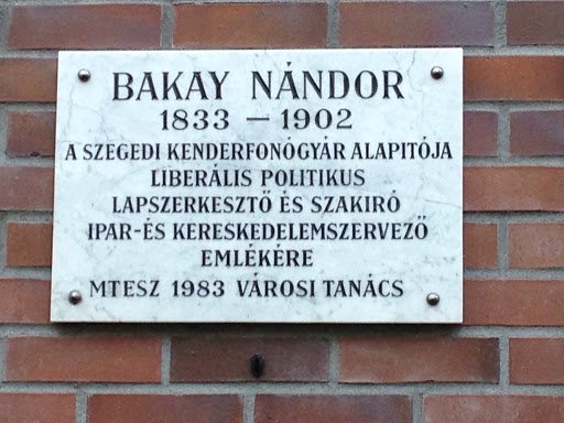 Bakay Nandor 