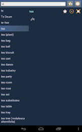 English Persian dictionary poster 13