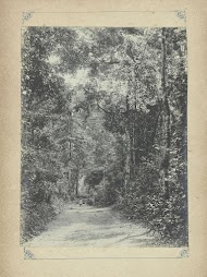 Bosweg in Frans-Indochina