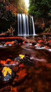 Lastest HD Wallpapers for Galaxy Nexus APK