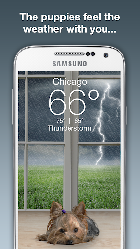 免費下載天氣APP|Weather Puppy app開箱文|APP開箱王