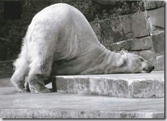 exhausted