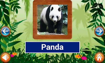 Animals and Birds by Intellisense poster 5