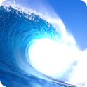 Buoy Watch logo