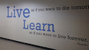 Live & Learn Wall of Inspiration