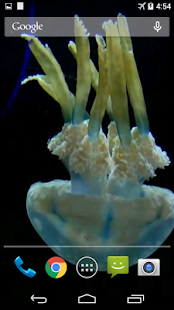 How to mod Jellyfish Live Wallpaper 2.0 mod apk for bluestacks