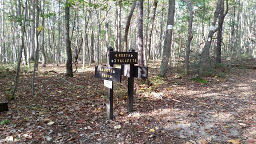 Appalachian Trail and Three Valley Trail