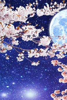 桜月夜 Androidアプリ Applion