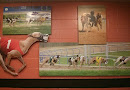 Greyhound Racing Collage