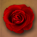 Wild Flowers Live Wallpaper logo