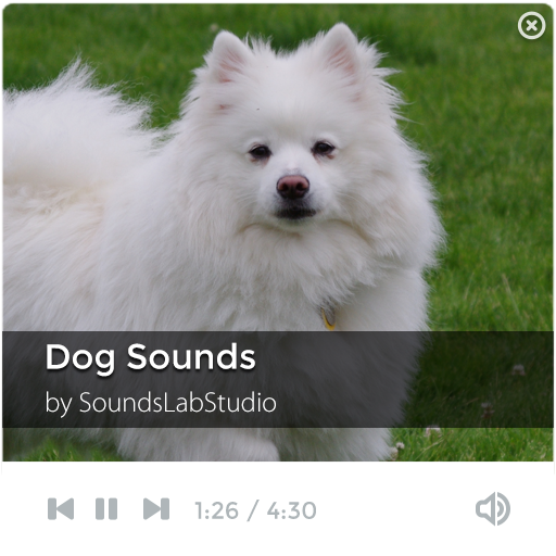 Dog Sounds