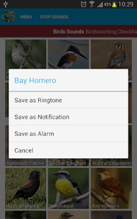 South American Birds Sounds Screenshots 22