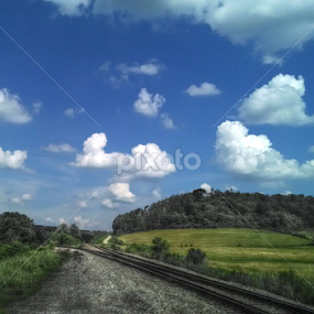 Summer Day View by Taunia Maple - Instagram & Mobile Android