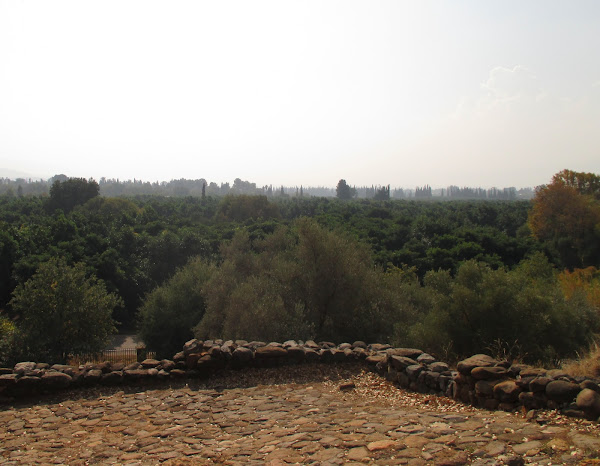 Tel Dan Nature Reserve