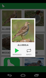 Free Download Richiami Uccelli Birdwatching APK for Android