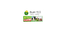 Dream BIG Day Camp APK