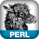 Intermediate Perl