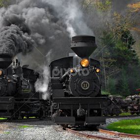 Family Line by Chuck  Gordon  - Transportation Trains