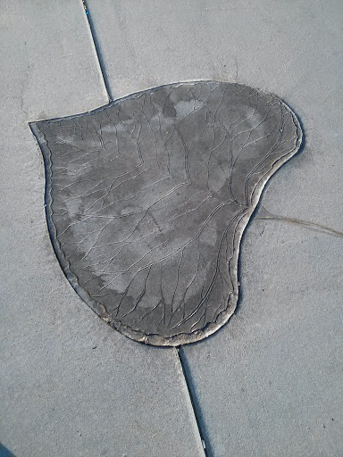 Sidewalk Leaf Art