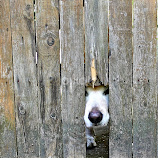 Take Me by Mo Harmon -  