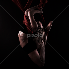 Entangled Too by Monte Arnold - People Musicians & Entertainers