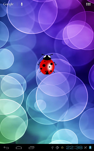 Good luck ladybug