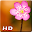 Macro Wallpaper HD Download on Windows