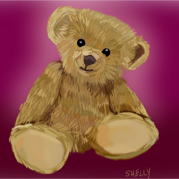 Teddy Drawings SketchPort