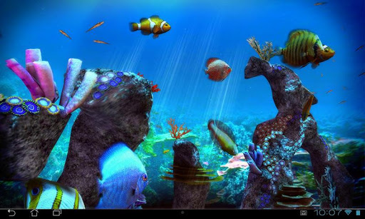 免費下載個人化APP|Tropical Ocean 3D LWP app開箱文|APP開箱王