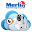 Merlin ipcam Download on Windows