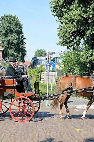 Horse-drawn Vehicle Puzzle