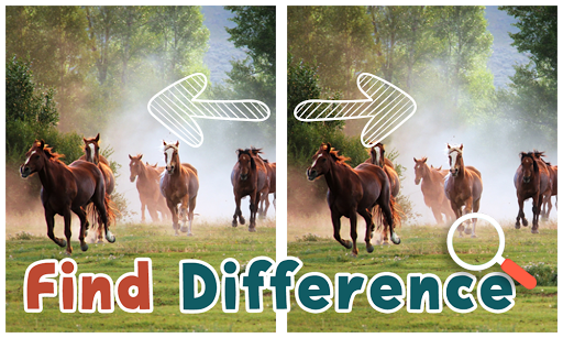 Find Differences Horses