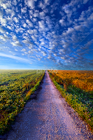 The Way Is Clear by Phil Koch -  