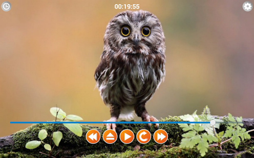 Birds Calls Sounds - Android Apps on Google Play