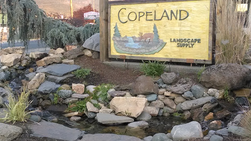 Copeland Water Fountain 