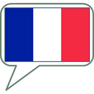 SVOX French Luc Voice logo