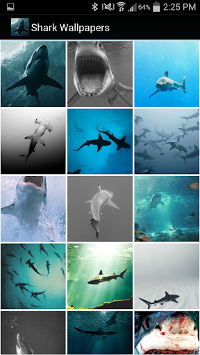 【免費個人化App】Shark Wallpapers-APP點子