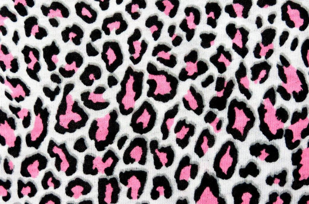 Animal print wallpaper Imagui