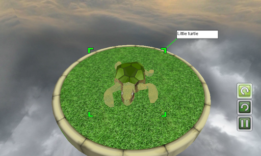 Virtual Pet 3D - Turtle