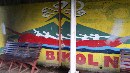 Mount Mayon Mural With Sili