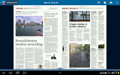 eHN - Falkenberg poster 6