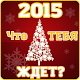 Тест на 2015 новый год APK