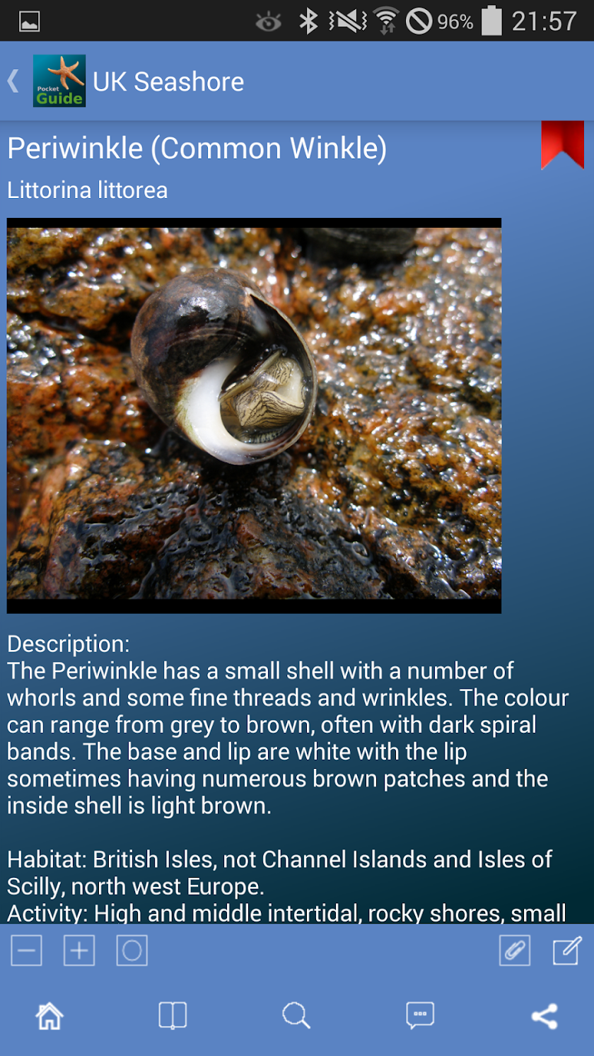 Pocket Guide UK Seashore Screen 3