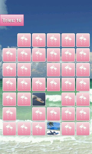 【免費解謎App】Florida Memory Game PRO-APP點子