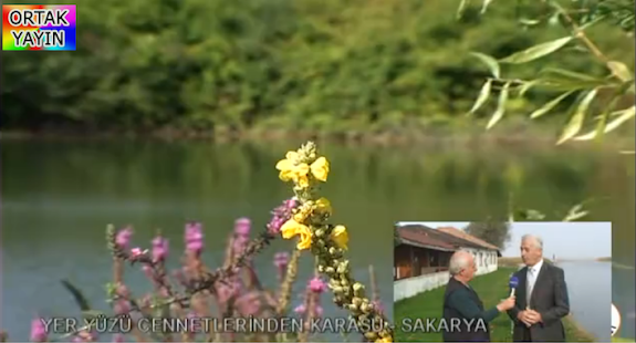 Lastest Sakarya Televizyonu APK for Android