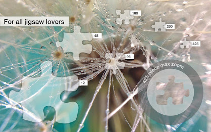 Raindrop Jigsaw Puzzles Demo poster 2