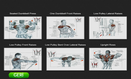 【免費運動App】Omuz Egzersizleri-APP點子