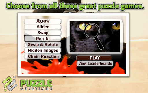 Free Black Cat Puzzles