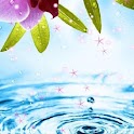 Waterdrop Orchid Live Wallpape logo