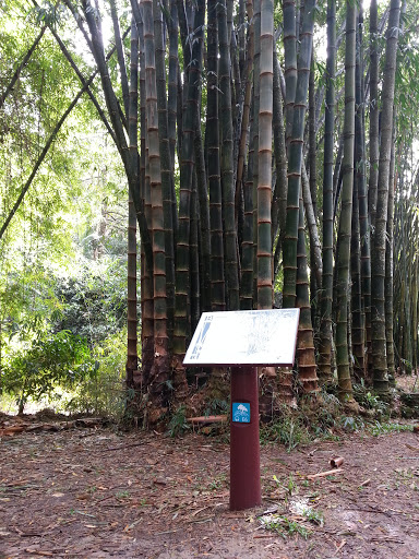 Bamboo Info Board